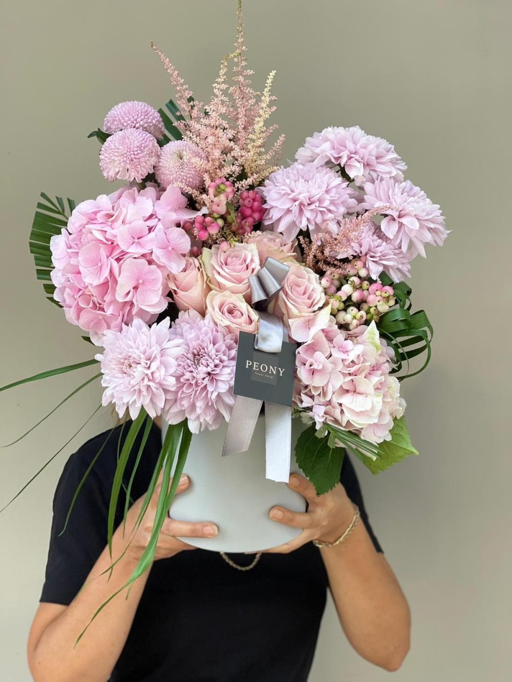 Pink Dream Hydrangea